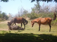 /album/photogallery/imagem-1262-jpg/